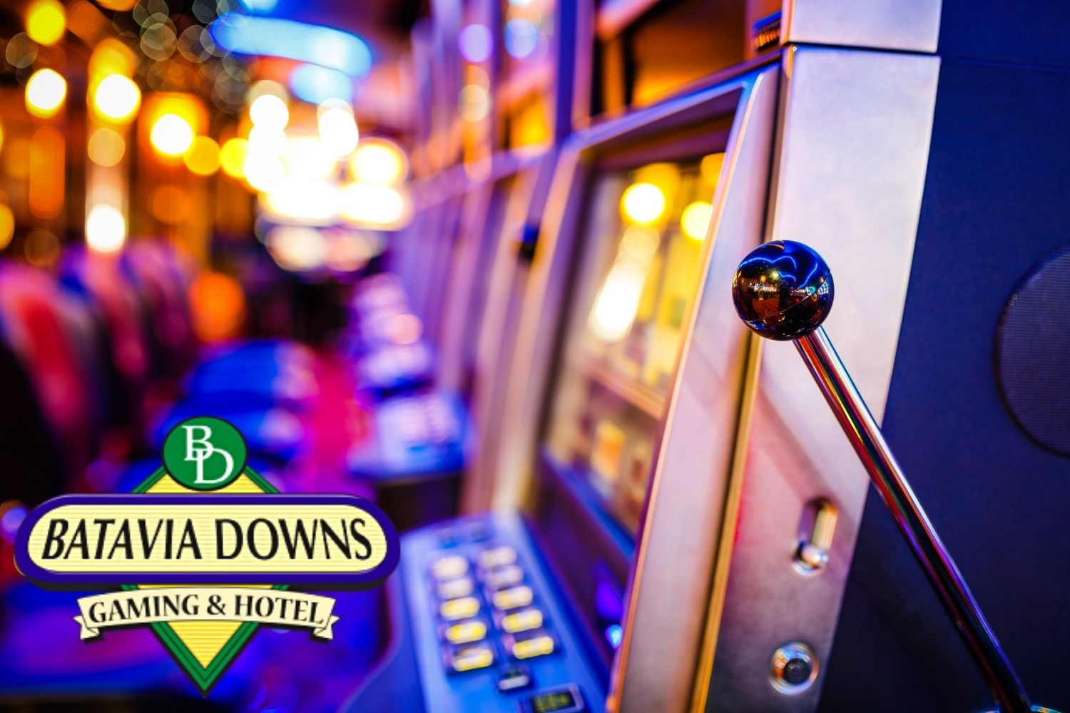 Batavia Downs Gaming - Mon., Oct. 28, 2024